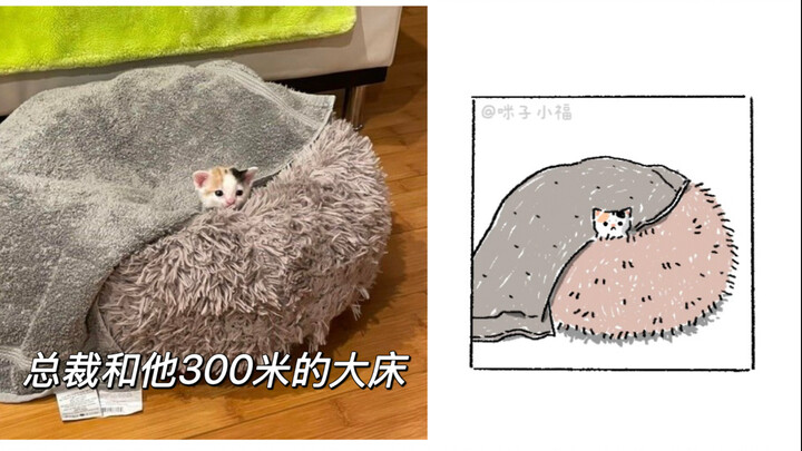 رسمتُ بضعة حيوانات صغيرة وميمات قطط أخرى!