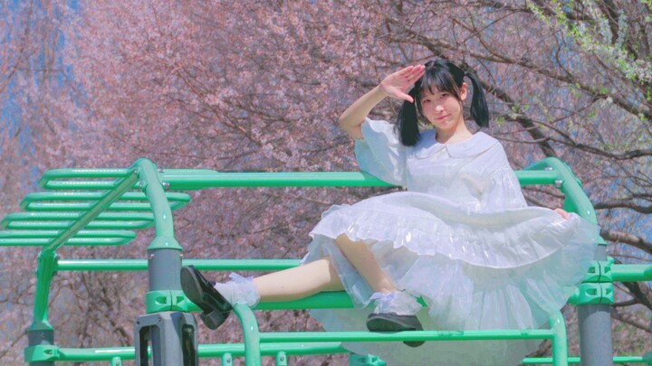 “Lần đầu ghi hình ngoại cảnh” ~🌸 Con phố gần xuân nhất 🌸 ~ [Thế Sa-chan]