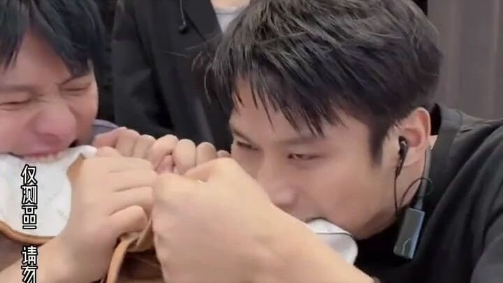 Tiểu Dương Ca: Cái này cắn nát được không? Bên nhãn hàng: Không cắn nát được.