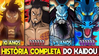 Kaidou (One Piece) - O PIRATA QUE VENCEU TODOS EM SUA ERA | História Completa