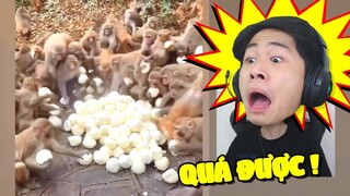 REACTION NGẪU NHIÊN 3 VIDEO ĐƯỢC ĐÁNH GIÁ 100 ĐIỂM HẤP DẪN !!! (Pobbrose HNXG) ✔