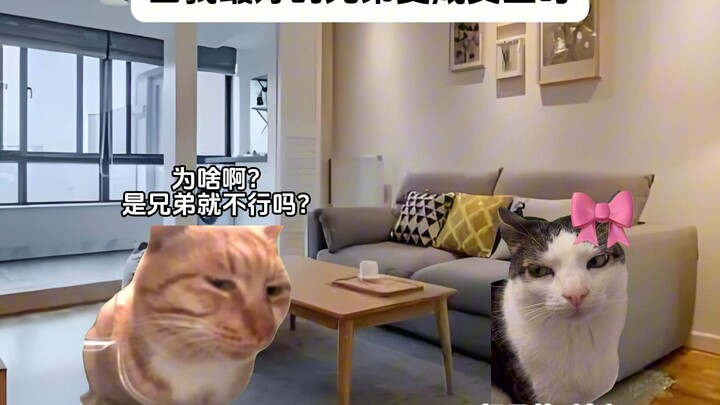 Khi anh bạn thân nhất của tôi biến thành con gái