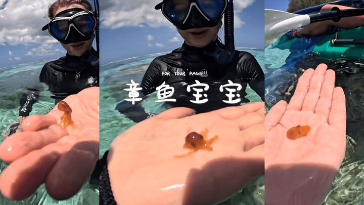 Telah menjalin persahabatan dengan bayi gurita di laut 🐙✨