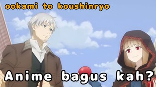 Apa bagusnya anime ookami to koushinryo