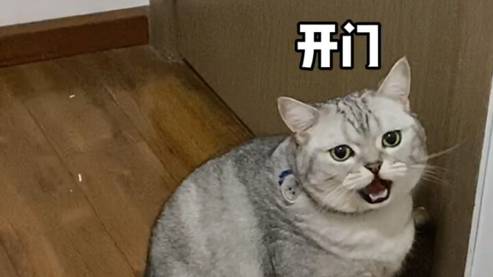 This egg, priced at 800 per piece, probably won't make it...