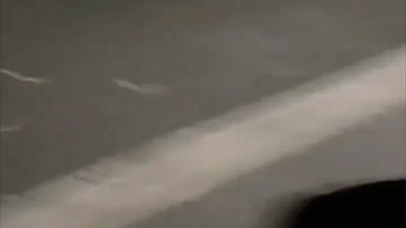 It's the first time I've ever heard a centipede scream in agony.