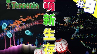 Terraria Newbie Survival 9