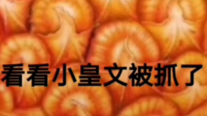 ฉันโดนจับได้ว่ากำลังดูพุ่มไม้เล่นอยู่กลางดึก