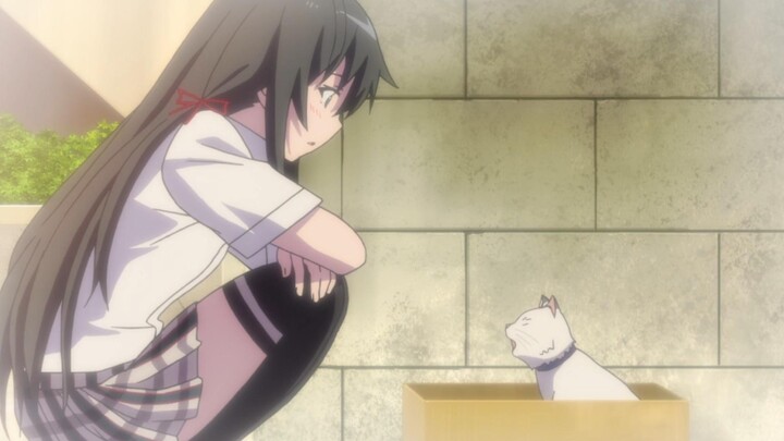 Harmono: Yukinoshita Yukino is as arrogant as a cat... hmm...