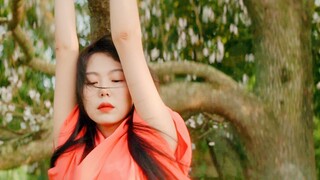 电影《小姐》丨“她不是普通的一朵玫瑰，她是你的玫瑰。你在她身上付出了时间，让她变得不可替代。