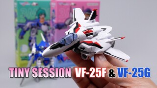 ฟื้นคืนชีพในรอบ 12 ปี! Bandai TINY SESSION ซีรี่ย์ VF-25F VF-25G