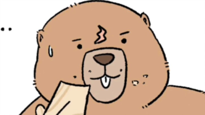 这是一个很河狸的合集