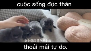 làm việc và nghỉ ngơi#dailyvlog#life#chill