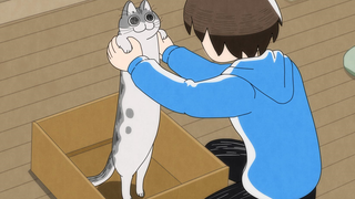 【7月/附歌词/日野聪&种崎敦美】与猫共度的夜晚(夜夜猫歌) 01【MCE汉化组】