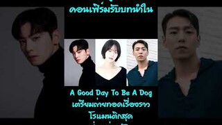 พัคกยูยอง คอนเฟิร์มรับบทนำใน A Good Day To Be A Dog