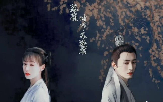 落花时节又逢君       茶花小妖和中天王的三生三世   “我欲渡你成仙 ，却被你渡成了人”