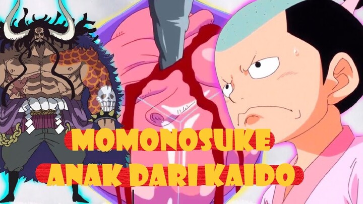 PERSELINGKUHAN YONKOU KAIDO DENGAN ISTRI ODEN - VLOG One Piece