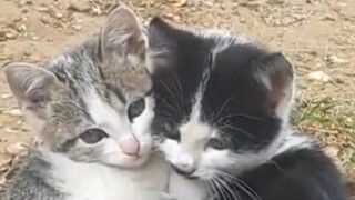 ด้วยกัน