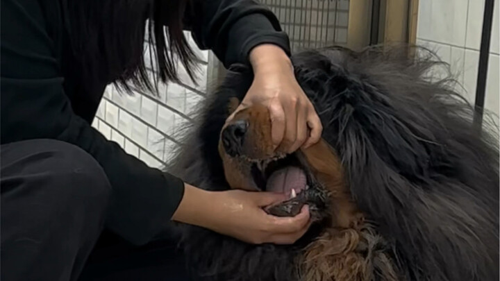 护食你能护过我？