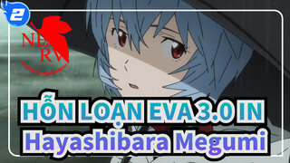 [HỖN LOẠN EVA 3.0] IN Hayashibara Megumi -VOYAGER～ Ngôi mộ không ngày tháng_2