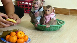 So Cute Little Boy Maki and Baby Maku Sitting Wait Mom Prepare Cake and a lot of fruits In Basket