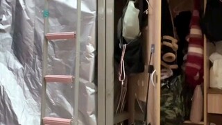 磷脂分子