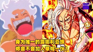 身为唯一的露娜利亚族烬会不会加入草帽一伙？#1365