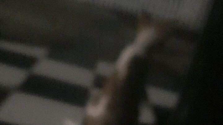 🌬️