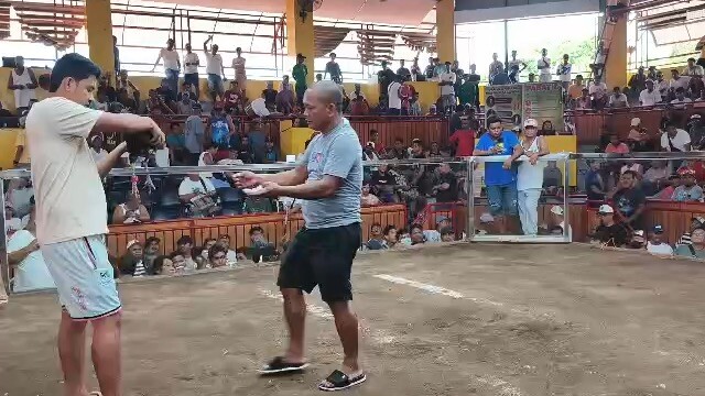 2 hits Candelaria Quezon, 14 May 2026, 2nd fight Win 🏆 Champion