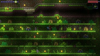 TERARIA JUNGLE BAIT FARM