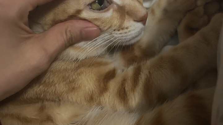 ไม่ใช่เหรอ? ทำไมพวกมันถึงสนิทกันขนาดนี้ล่ะ?