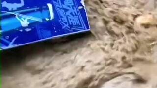 今天又有冰淇淋吃了