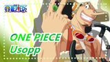 [ONE PIECE] All Promises Of Usopp Have Been Realized One By One