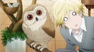 Eksklusif My Hero: Kosuke menemani Masahiro ke toko hewan peliharaan untuk membeli makanan kucing. M