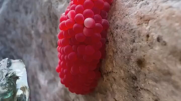 Stress-relief compilation