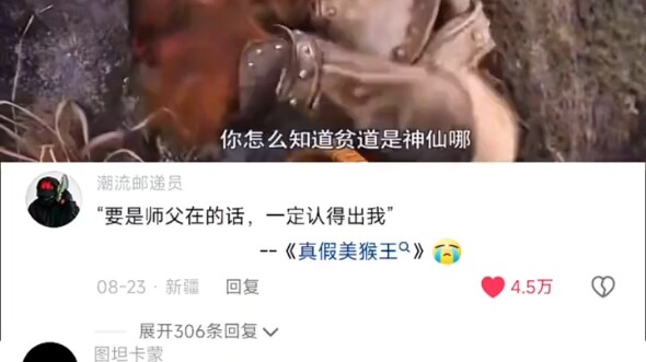 要是师父在的话，一定认得出我！