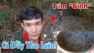 Tắm Bùn Bắt cá đồng khi lúa chính nước cạn | NCLGaming video đăng lại