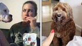 Ultimate Funniest Pets and Owners Compilation of 2021 | Funny Pet Videos