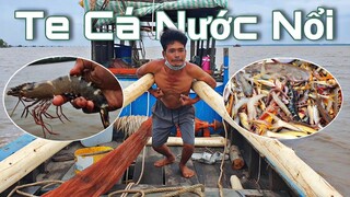Lần đầu bước vào nghề ''TE TÔM CÁ'' nước nổi trên biển | Ngư Dân Miền Tây