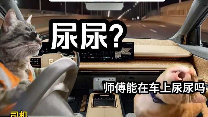 When You’re Drunk and Taking a Ride Home