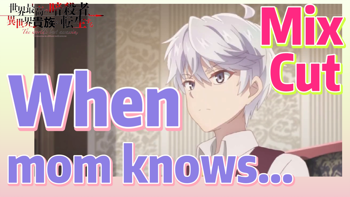 [Reincarnated Assassin]Mix Cut | When mom knows...