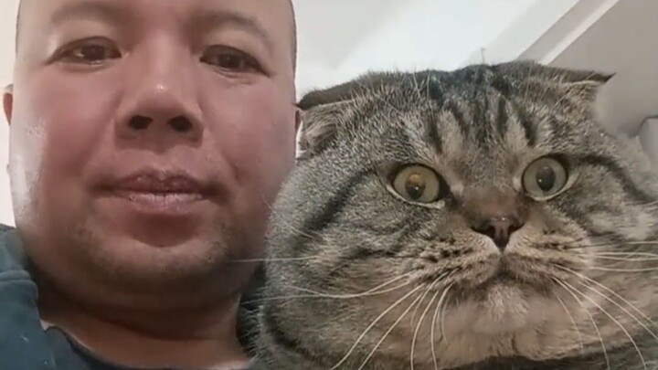Thunderous Fat Cat