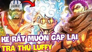 SAKAZUKI MUỐN GẶP LẠI KẾT LIỄU LUFFY?! | NHỮNG KẺ THÙ CŨ MUỐN GẶP LẠI LUFFY?!