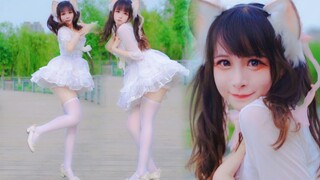 你喜欢的白色猫耳！这么肉肉真是抱歉❤️
