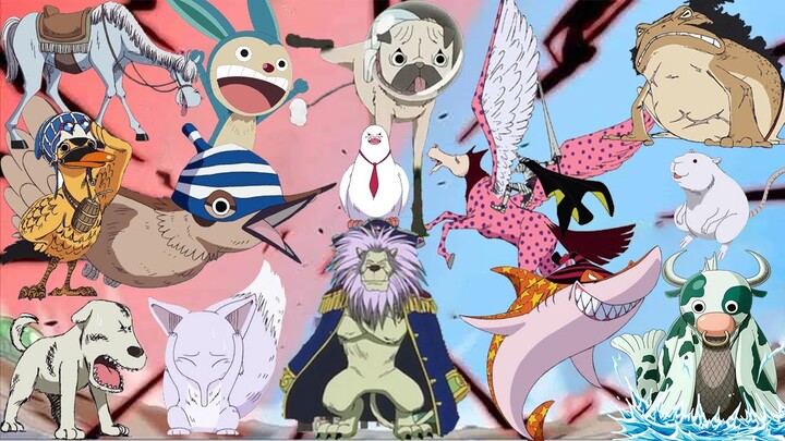DAFTAR HEWAN PELIHARAAN DI DUNIA ONE PIECE!!? - TEORI ONE PIECE TERBARU - PART 1