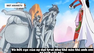 Top 6 Thiếu Nữ Dại Trai Nhất Trong One Piece #14 8
