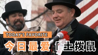 【东倾】《土拨鼠之日》：坏消息是今天还是昨天，好消息是今天变成了明天