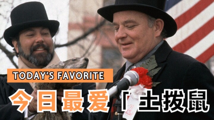 【东倾】《土拨鼠之日》：坏消息是今天还是昨天，好消息是今天变成了明天