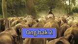 ong bak 2 full movie
