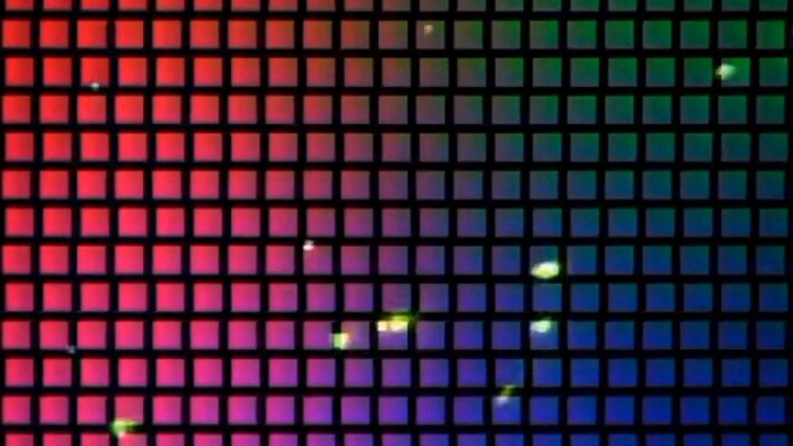 jedag jedug 3d anime!!!